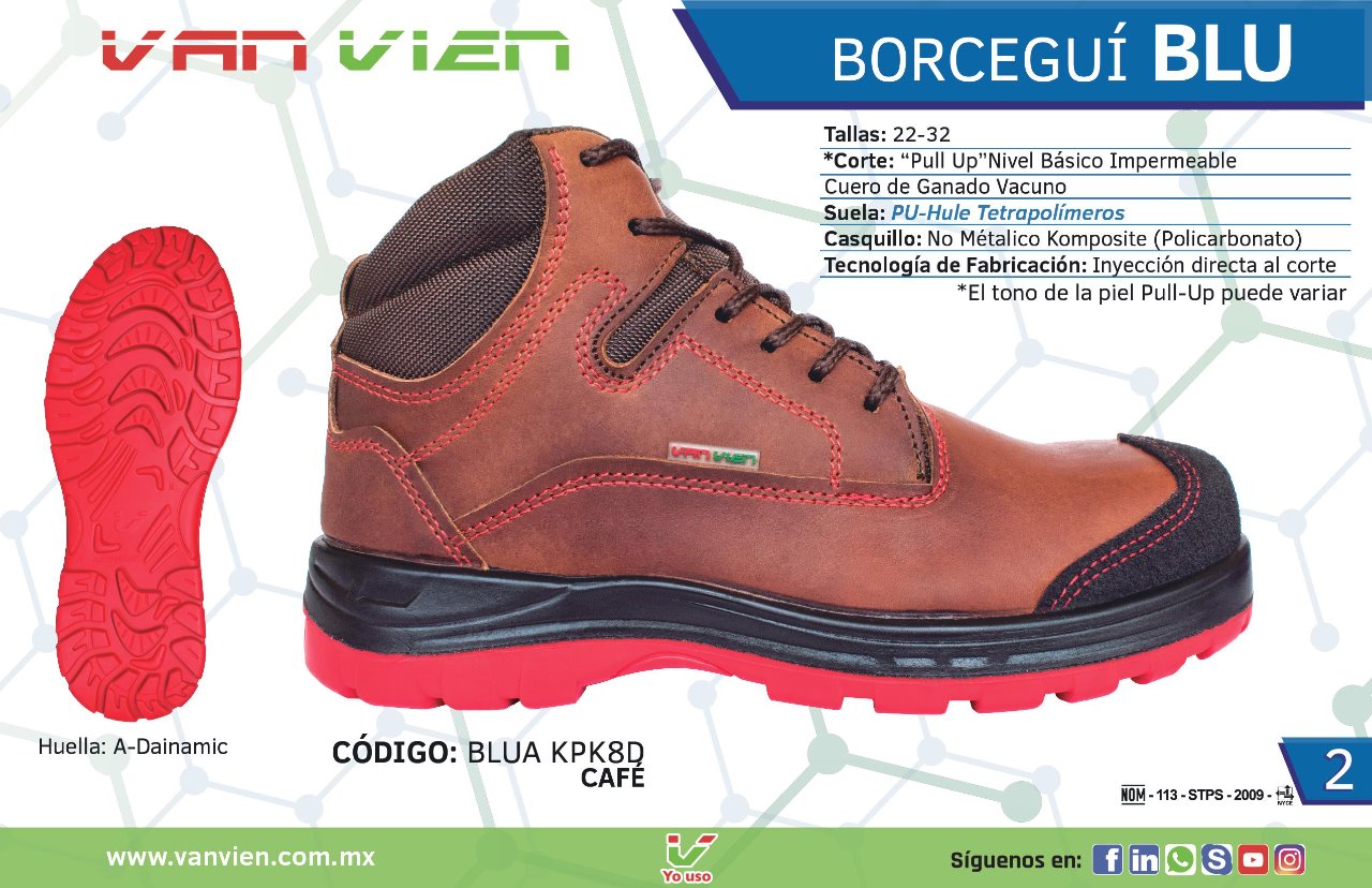 Zapatos Van Vien Borceguí Blu 2